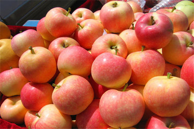 果多美加盟是否靠譜？剖析新鮮水果零售的機遇與挑戰