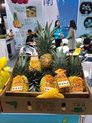 來(lái)自最新鮮的跳動(dòng)——2019新零售生鮮食材展引領(lǐng)新鮮水果零售新風(fēng)潮