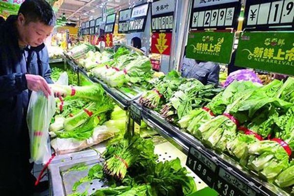 從田間到餐桌 菜農(nóng)直連終端銷(xiāo)售新路徑