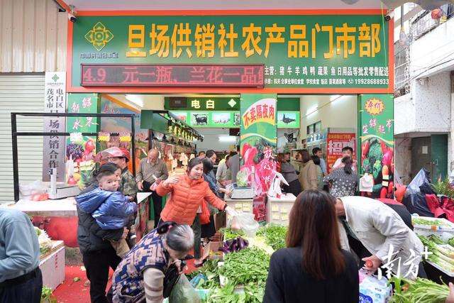 平價(jià)新鮮，從田間到餐桌——茂名電白供銷(xiāo)系統(tǒng)打造不隔夜生鮮超市
